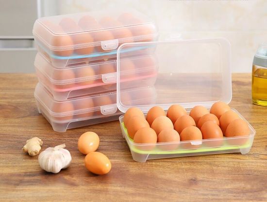 Egg Storage Boxes (15 Grid)